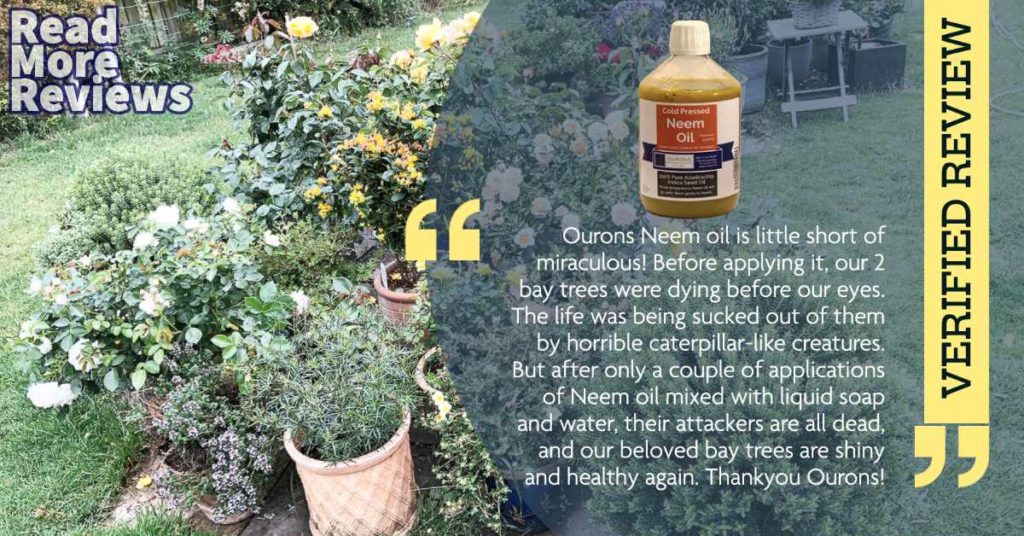 Neem Reviews